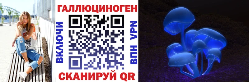 MEGA как войти  Цимлянск  Галлюциногенные грибы мицелий 